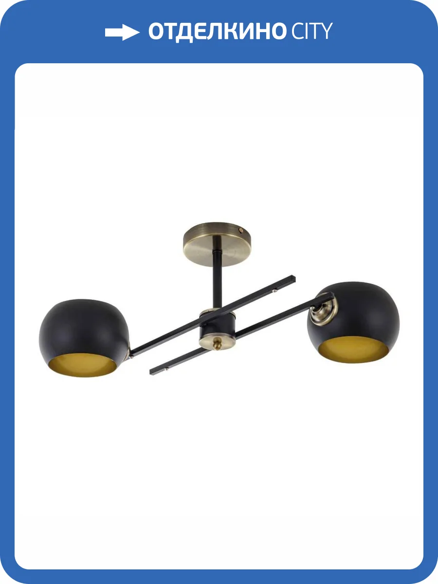 Потолочная люстра Modelux Modemodern MD.5171.2 фото 5