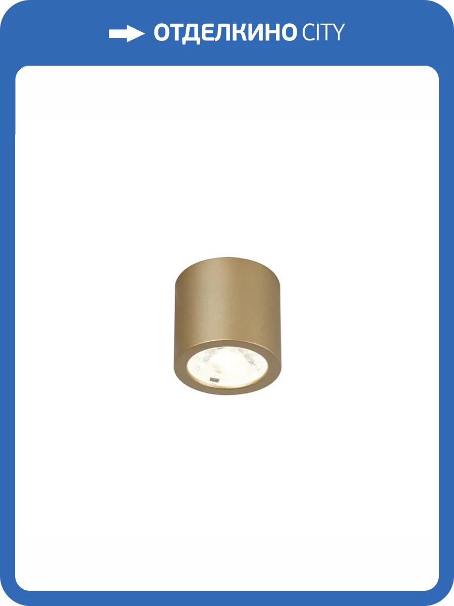 Потолочный светодиодный светильник Favourite Deorsum 2807-1C фото 4