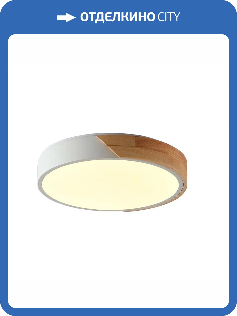 Потолочный светильник Zortes ALBERRO ZRS.01289.24 фото 6