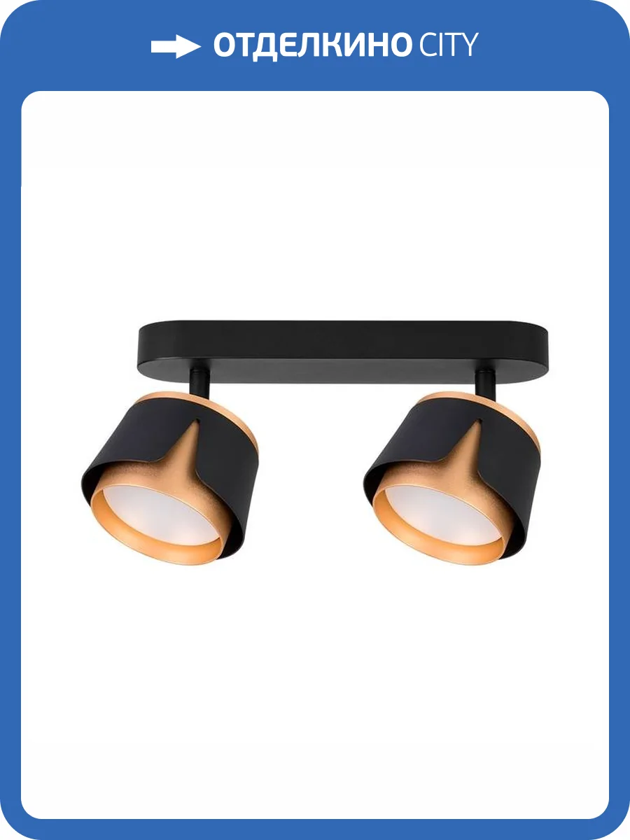 Светильник потолочный Arte Lamp Amaks A8028PL-2BK фото 2