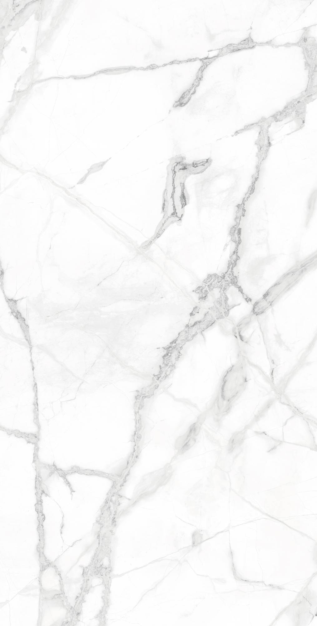 Керамогранит Arcadia Ceramica Diverso CR4023-A White Carving 60x120 фото 4