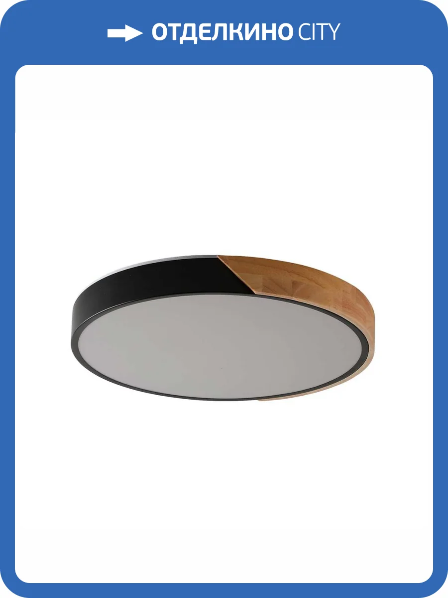 Потолочный светильник Zortes ALBERRO ZRS.01287.48 фото 6