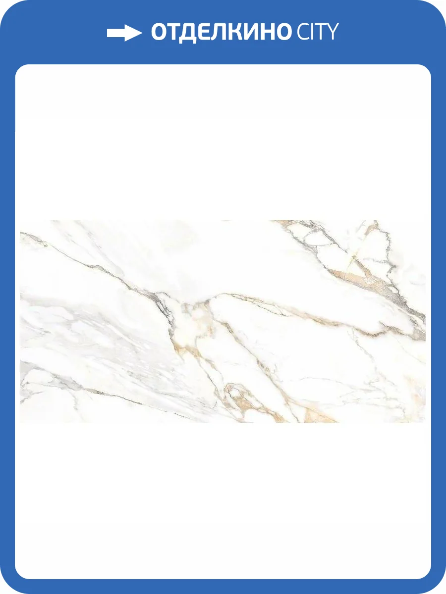 Керамогранит Alma Ceramica Trendy GFU60120TRD04R Матовый 60x120 фото 3