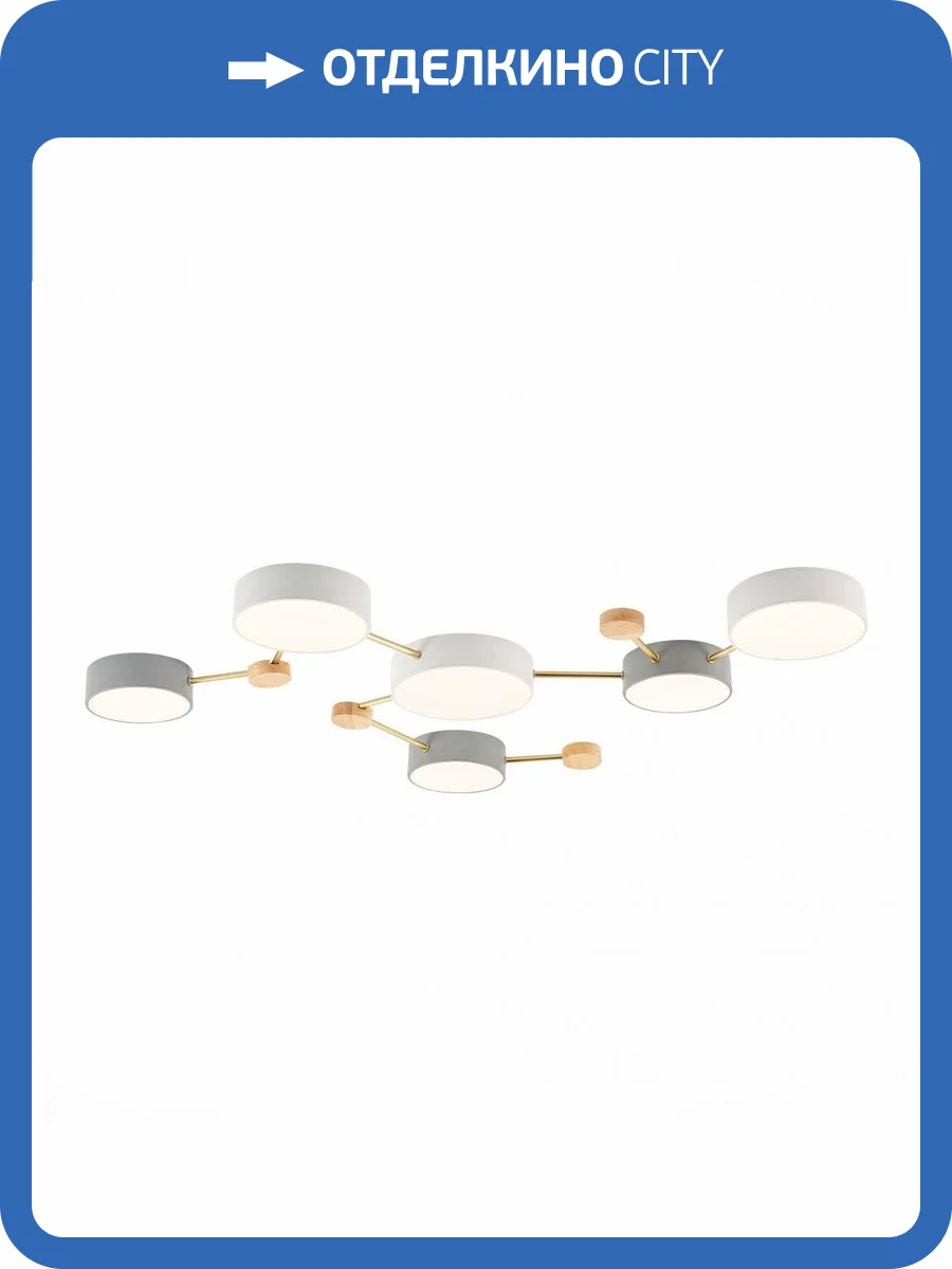 Потолочная люстра Evoluce Dossena SLE600102-06 фото 4