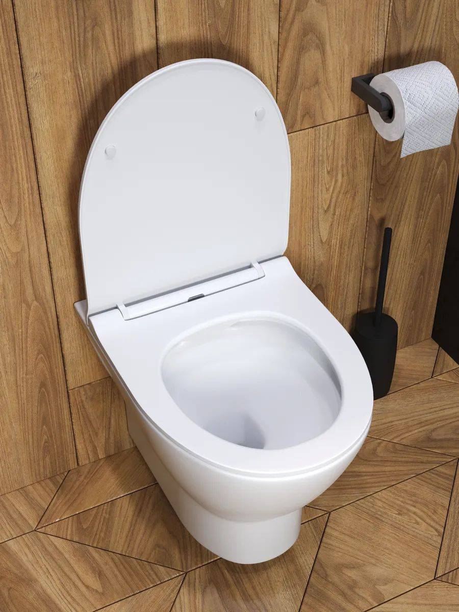 Унитаз подвесной Watersense Belinda W00149 безободковый, сиденье микролифт фото 7