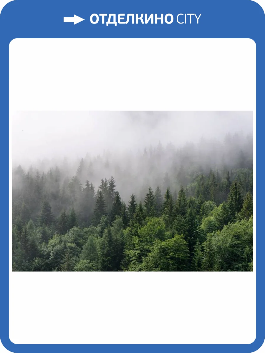 3D Фотообои Artegrafico «Утро в хвойном лесу» TM-008 канвас фото 2