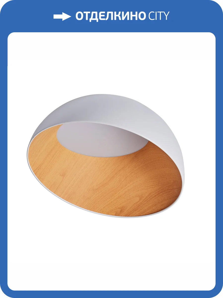 Потолочный светильник Zortes Baum ZRS.01201.19 фото 4