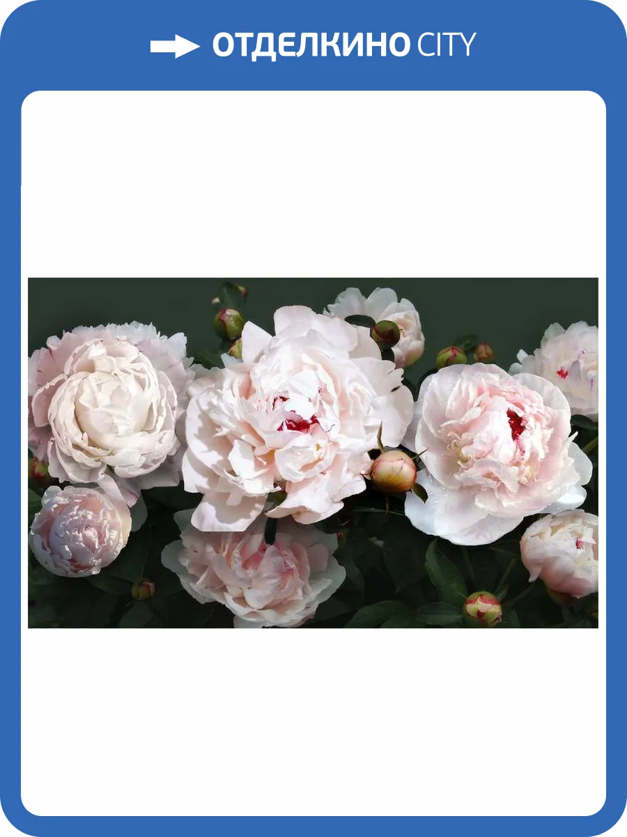 3D Фотообои Artegrafico «Пионы с отражением» RC-012 акварель фото 2