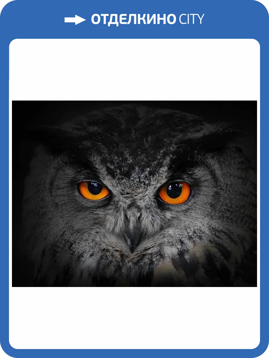3D Фотообои Artegrafico «Совиный взгляд» WILD-026 канвас фото 2