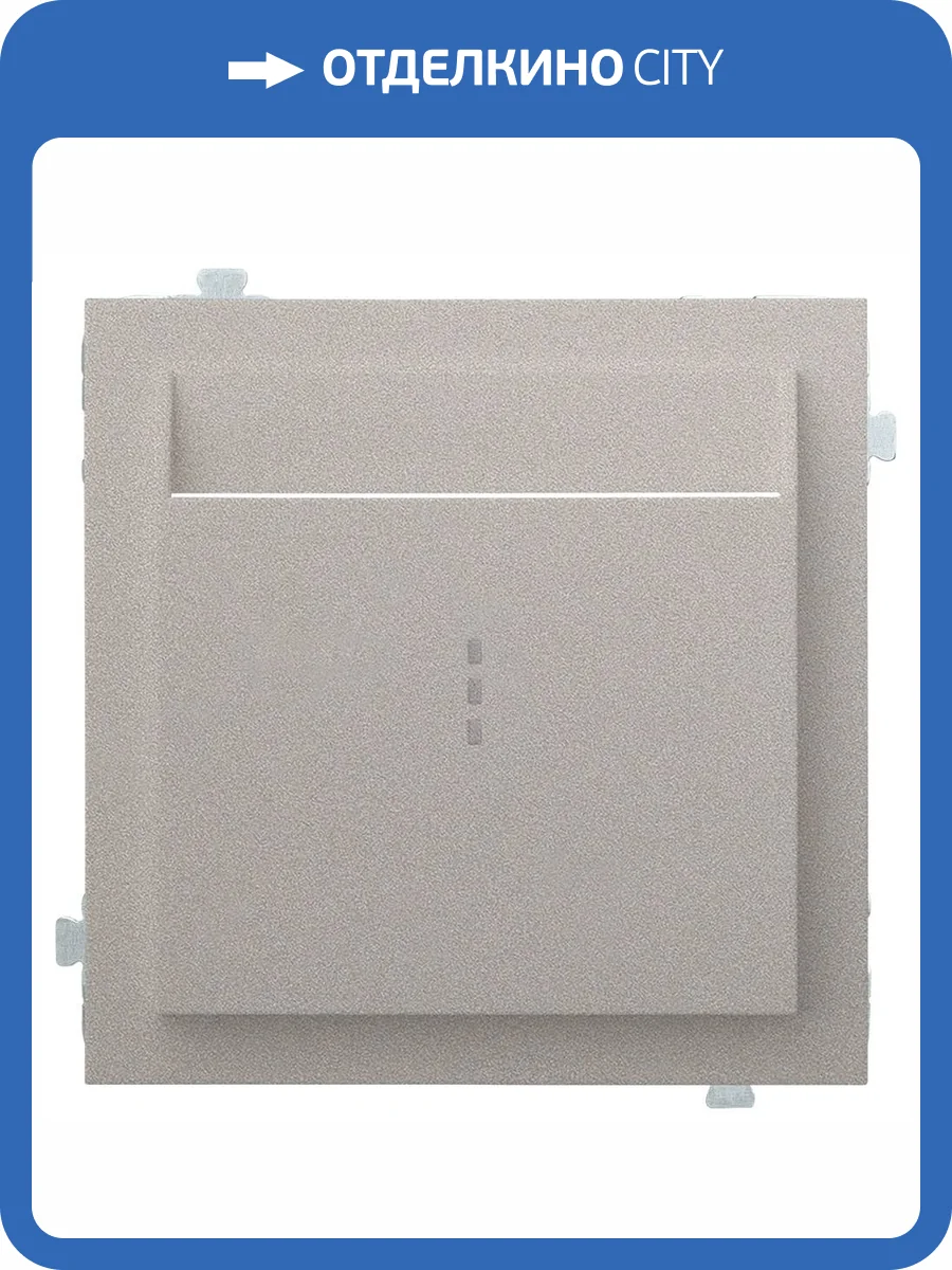 Лицевая панель для карточного выключателя Rikett 35731 PL платина фото 2