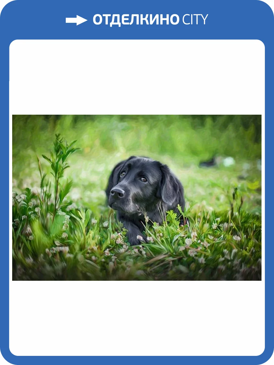 3D Фотообои Artegrafico «Собачка в траве» WILD-024 песок фото 2