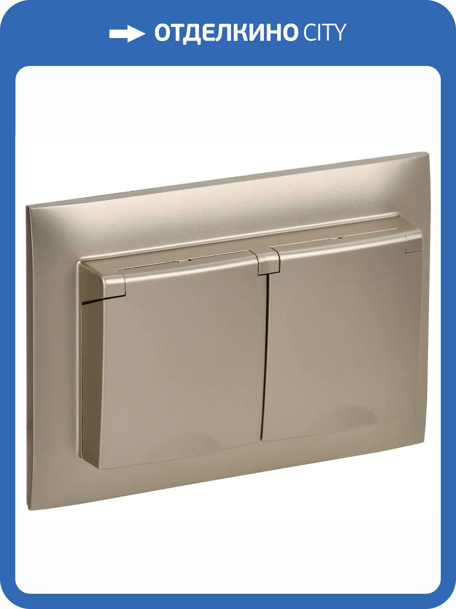 Розетка 2-местная с крышкой IEK Skandy SK-R26-16-44-K37-F шампань фото 7