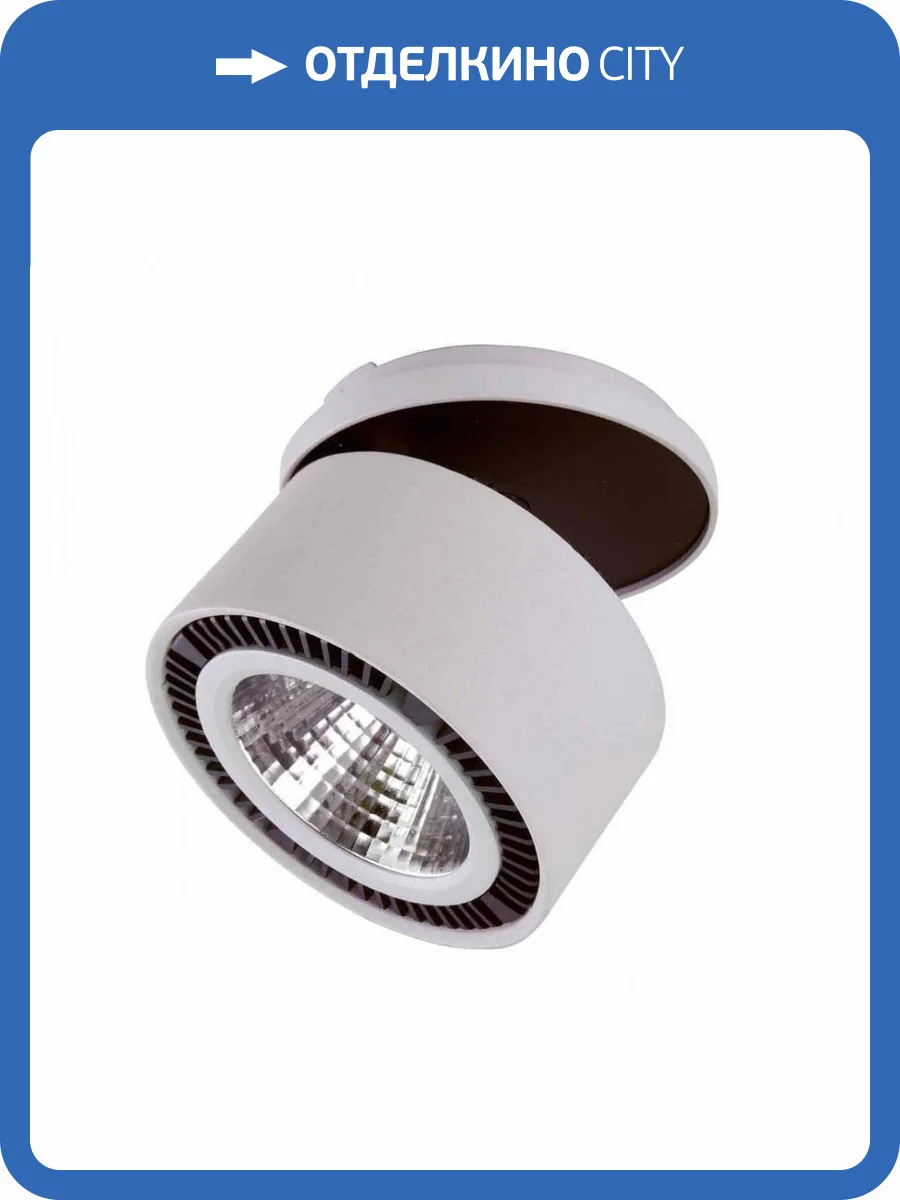 Встраиваемый спот Lightstar Forte Inca 214849 фото 3
