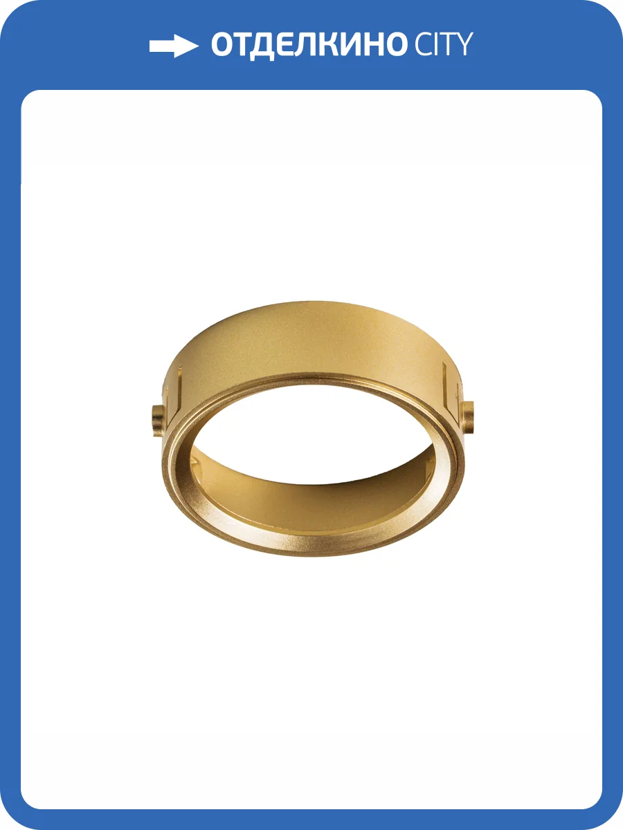 Кольцо фиксации под лампу Lightstar Domino 214003 фото 3