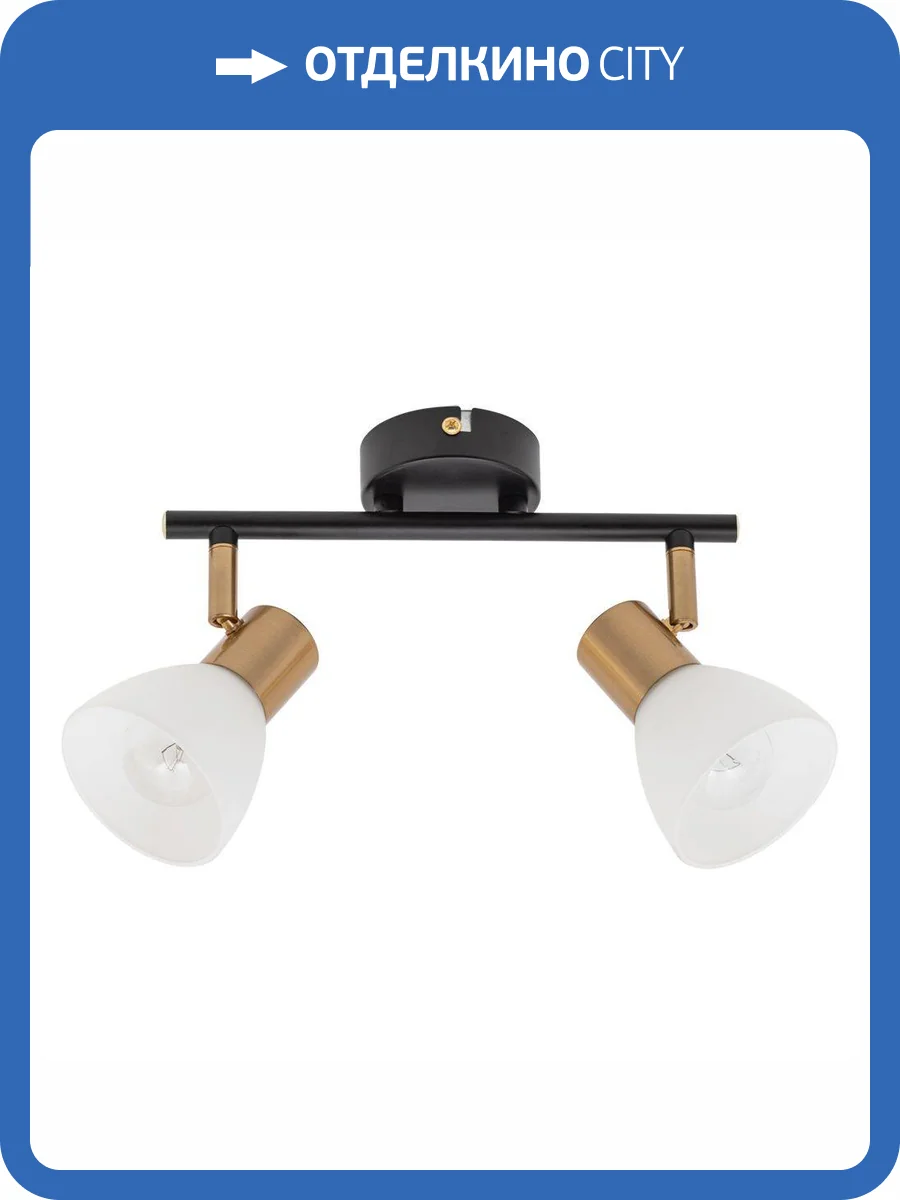 Спот Arte Lamp Falena A3117PL-2BK фото 4