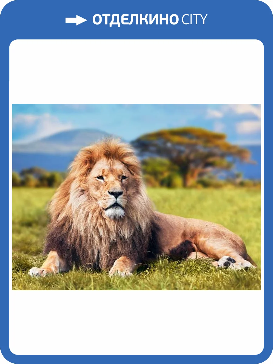 3D Фотообои Artegrafico «Лев» J006 песок фото 2