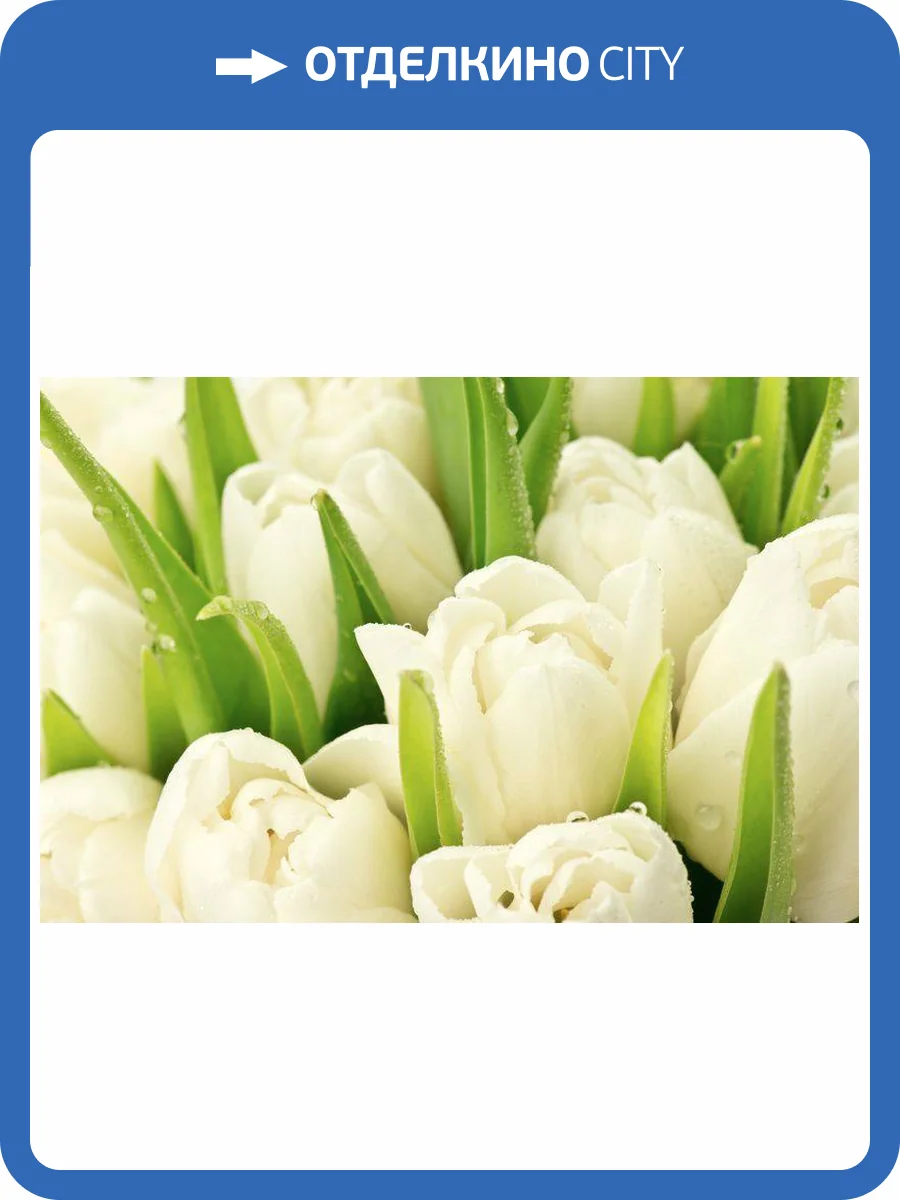 3D Фотообои Artegrafico «Белые тюльпаны» TUL001 акварель фото 2