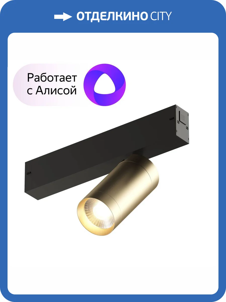 Трековый светодиодный светильник Denkirs Smart Spot DK8010-BG фото 6