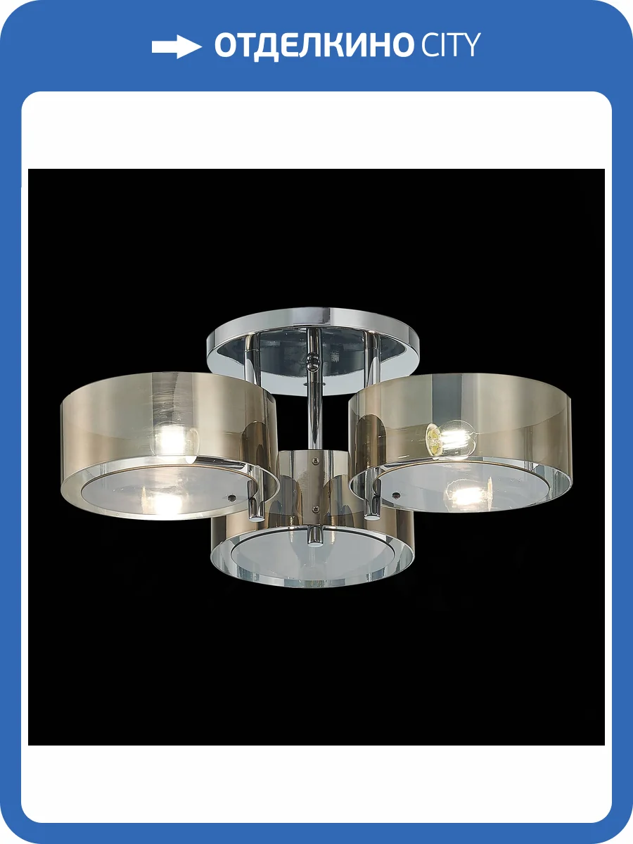 Светильник потолочный Evoluce Foresta SL483.702.03 фото 2