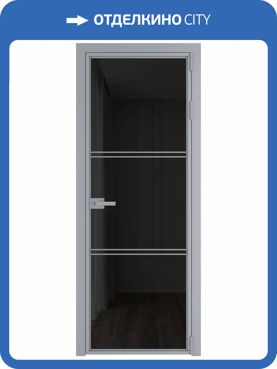 Межкомнатная дверь Profil Doors 3 AX цвет профиля Серебро, стекло безопасное 6 мм черное тонированное 600x2000 фото 2