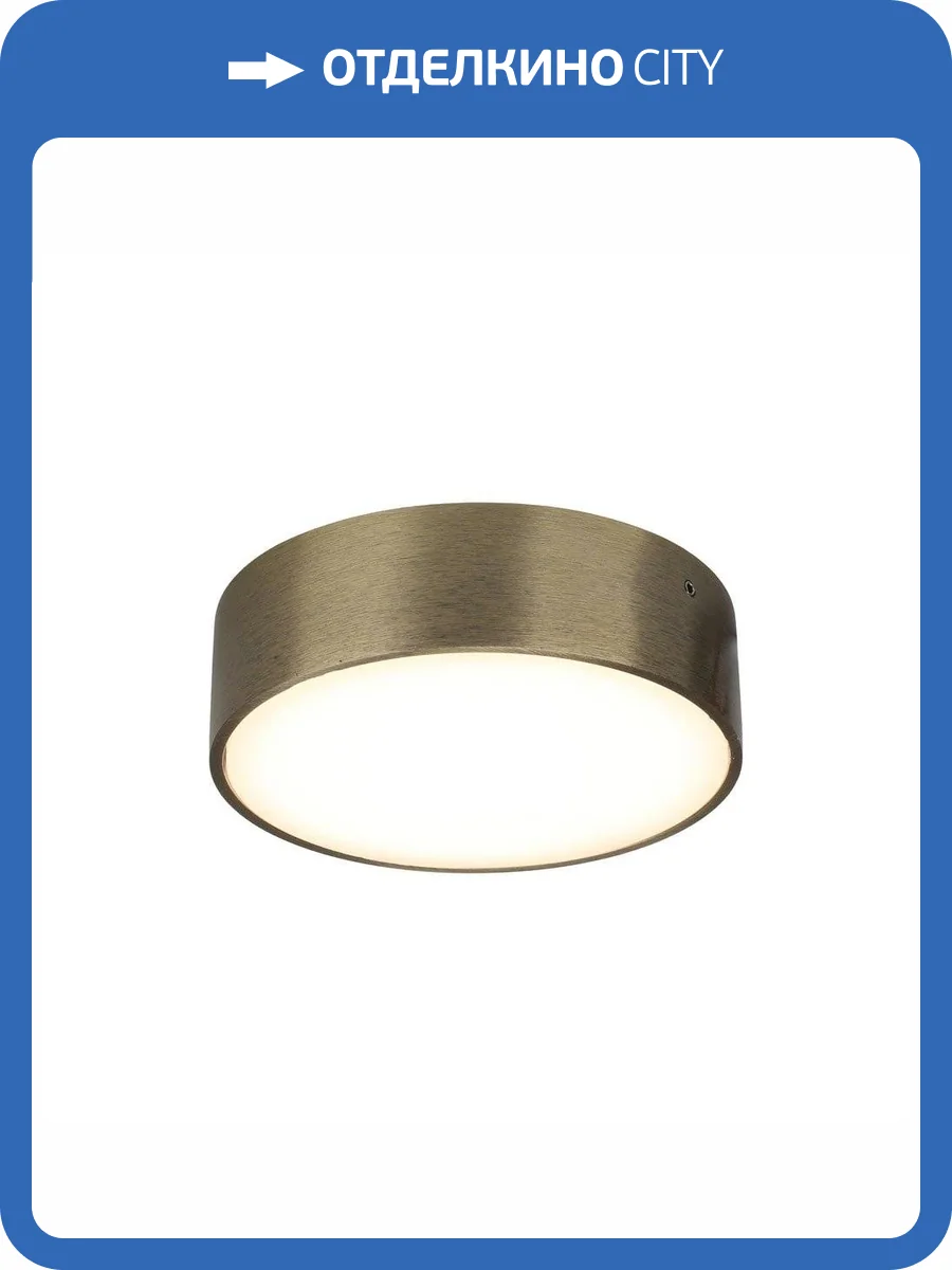 Потолочный светодиодный светильник Aployt Evon APL.0113.29.12 фото 2