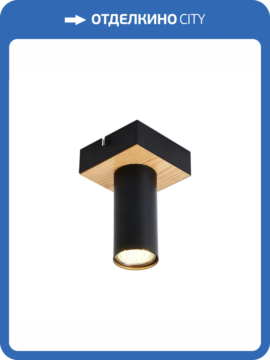 Потолочный светильник F-Promo Olson 4431-1C фото 2