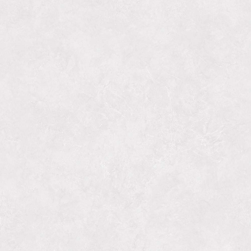 Керамогранит Wan Sheng Porcelain Tile AC-M6031 Матовый 60x60 фото 4