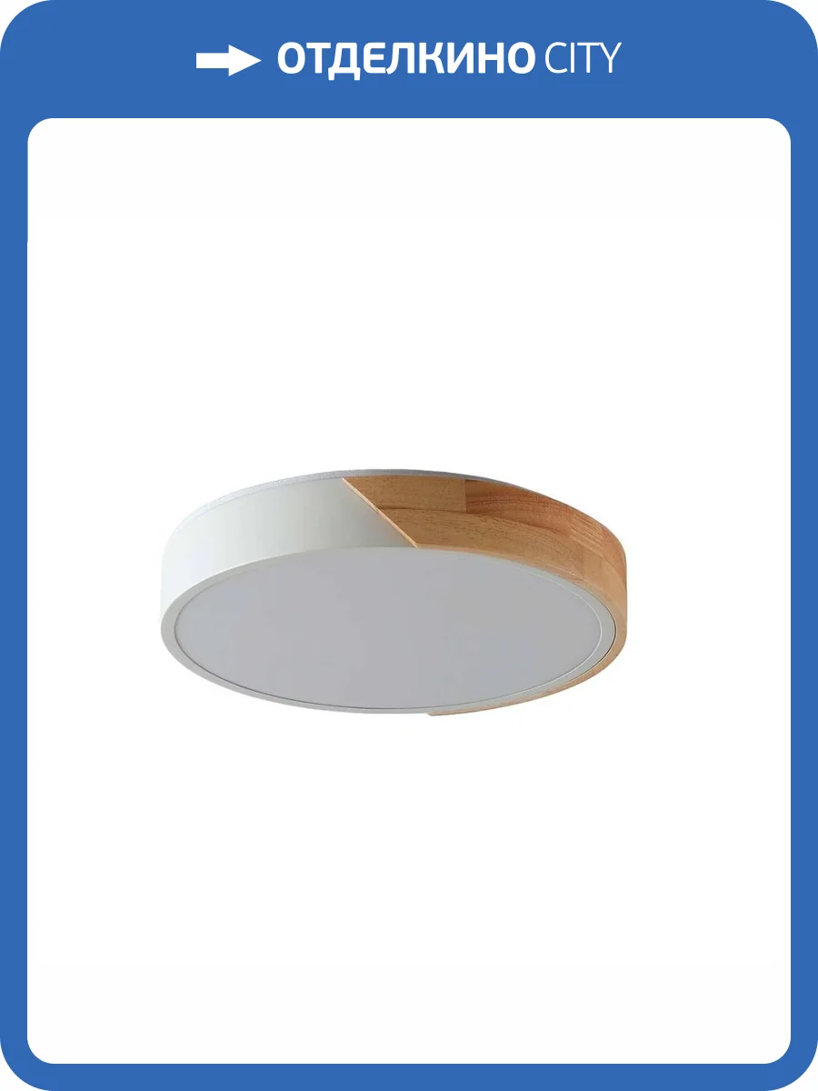 Потолочный светильник Zortes ALBERRO ZRS.01239.90 фото 6