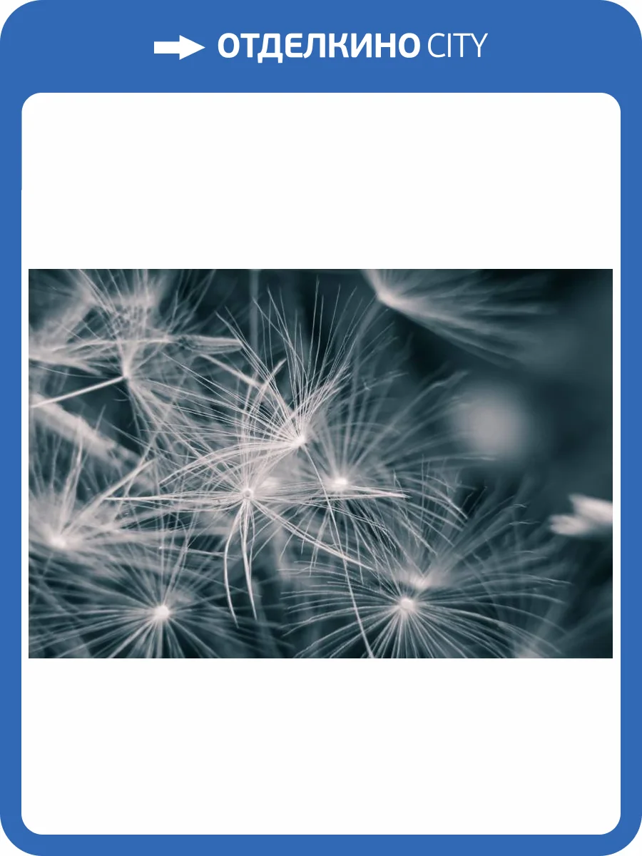 3D Фотообои Artegrafico «Нежность в бирюзе» MC-006 акварель фото 2