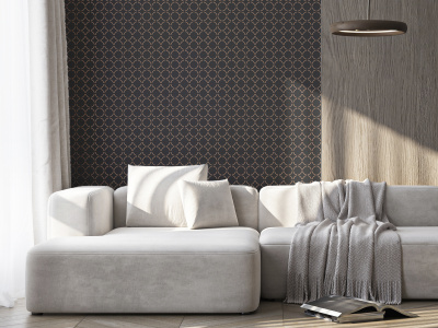 Victoria Stenova Connect