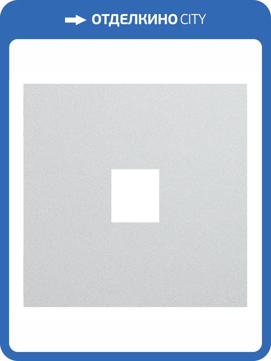 Лицевая панель для одиночной информационной розетки Rikett 35441 SV серебро фото 2