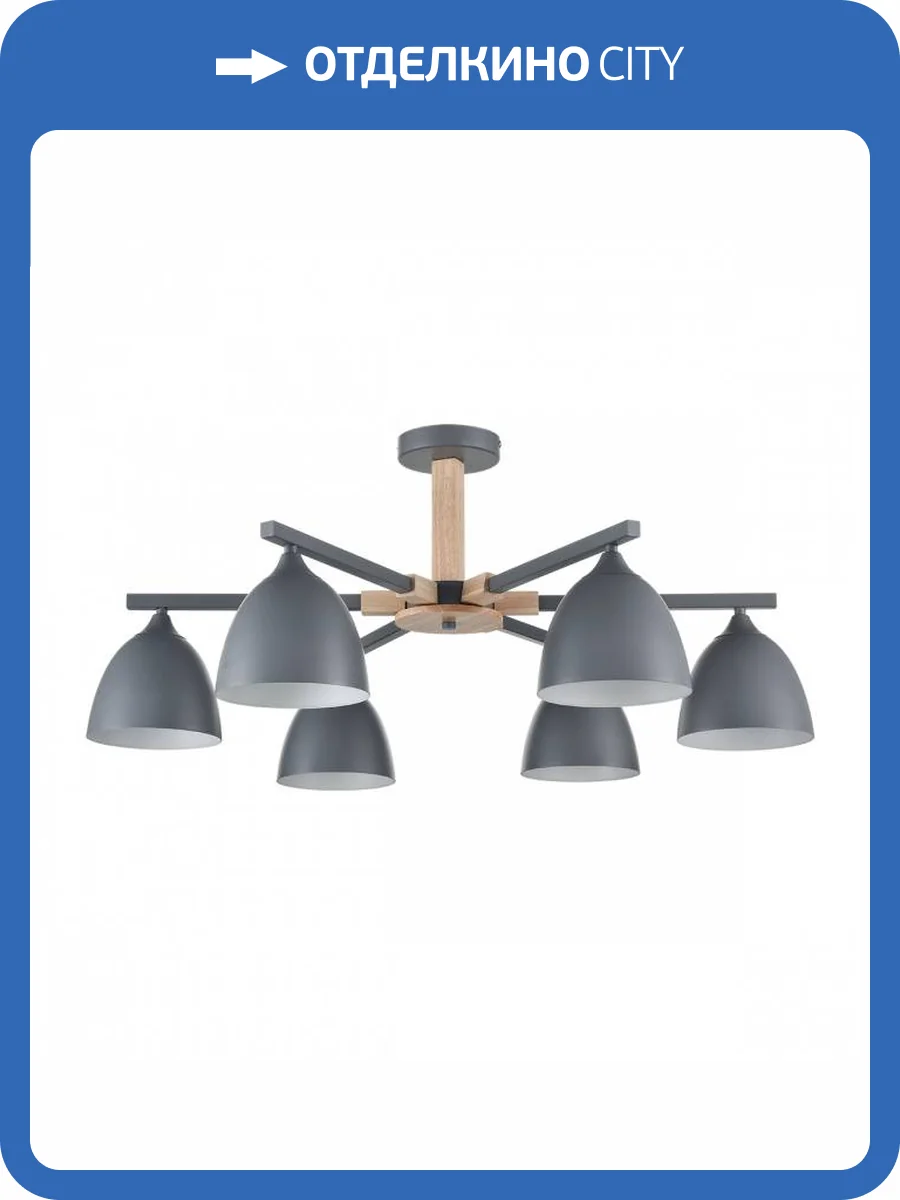 Люстра потолочная Lumion Moderni 8096/6C фото 2