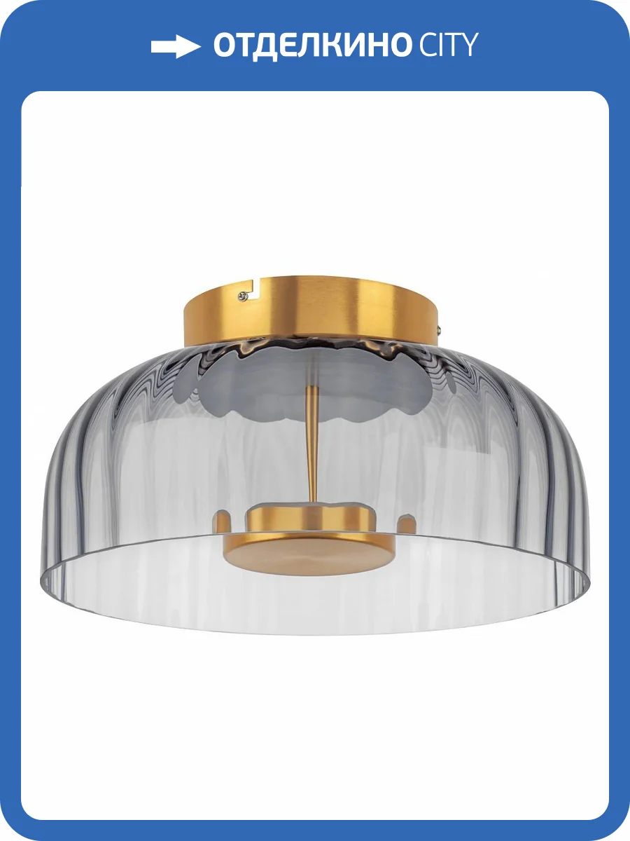 Потолочный светодиодный светильник Lightstar Celesta 809061 фото 2