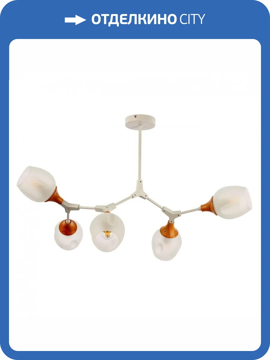 Потолочная люстра Evoluce Ciotolla SLE113502-05 фото 5