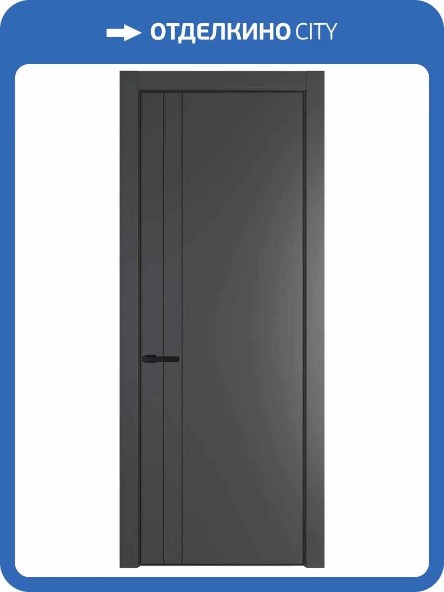 Межкомнатная дверь Profil Doors 12 PE полотно Графит, кромка алюминиевая с четырех сторон черная, алюминиевый молдинг 3мм 600x2000 фото 2