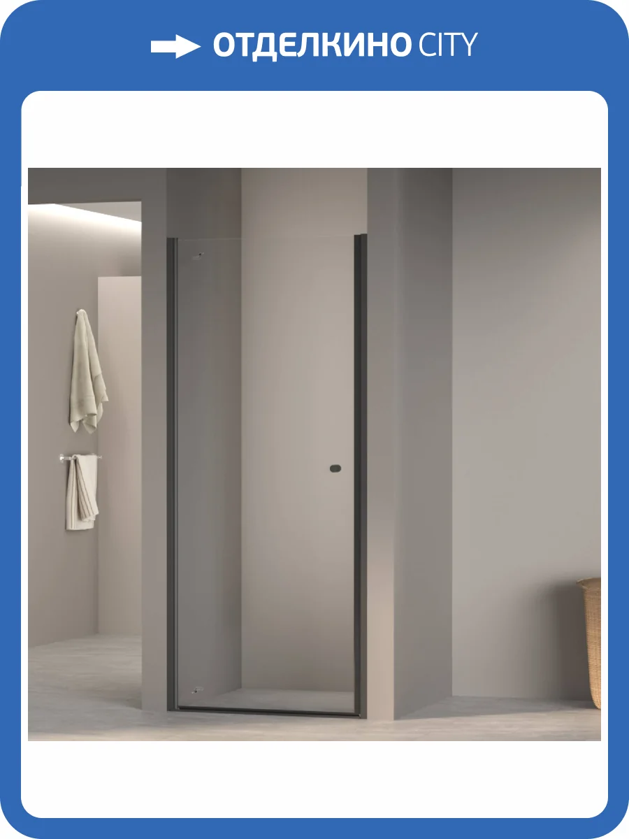 Душевая дверь RGW Dolphin TN-03B 54930309-14 Черный 90x195 фото 5