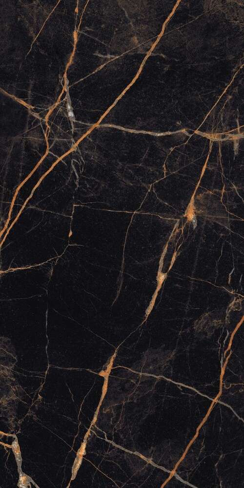 Maimoon Gloster фото 3