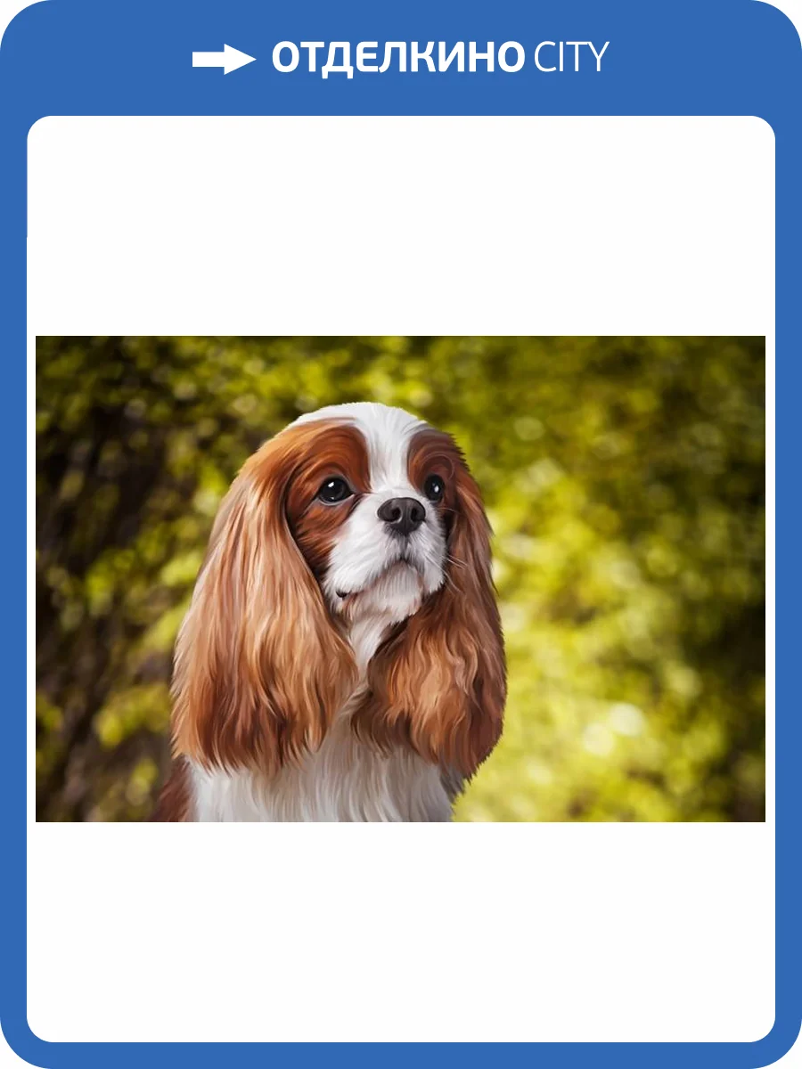 3D Фотообои Artegrafico «Длинноухая собачка» WILD-012 канвас фото 2