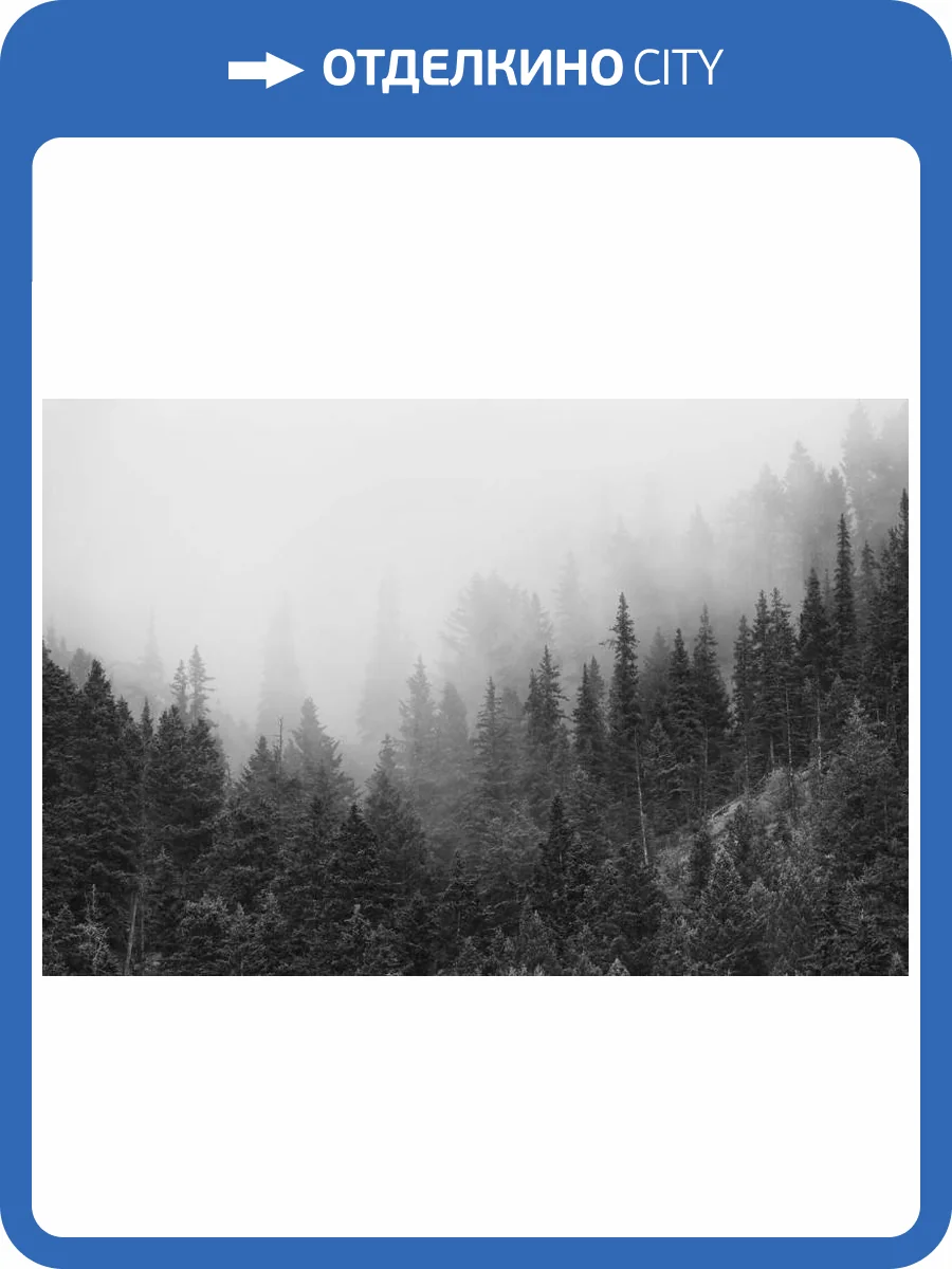 3D Фотообои Artegrafico «Черно-белый лес в тумане» TM-007 акварель фото 2