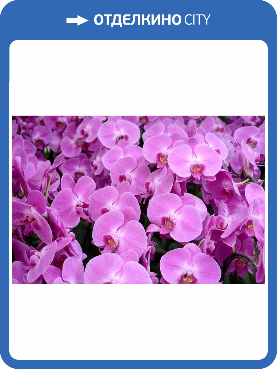 3D Фотообои Artegrafico «Ковер из орхидей» ORH-019 канвас фото 2