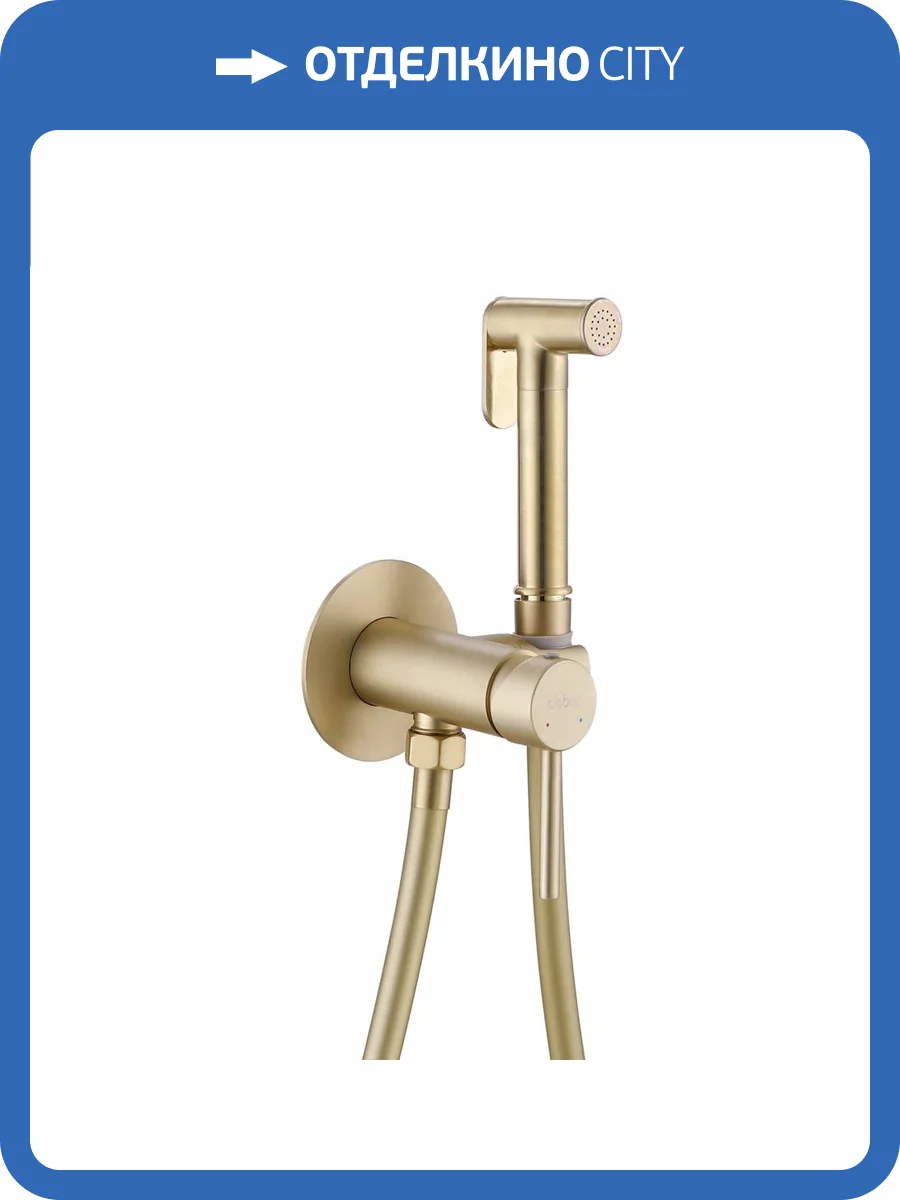 Гигиенический душ Abber Wasser Kreis AF8125G золотой матовый фото 3