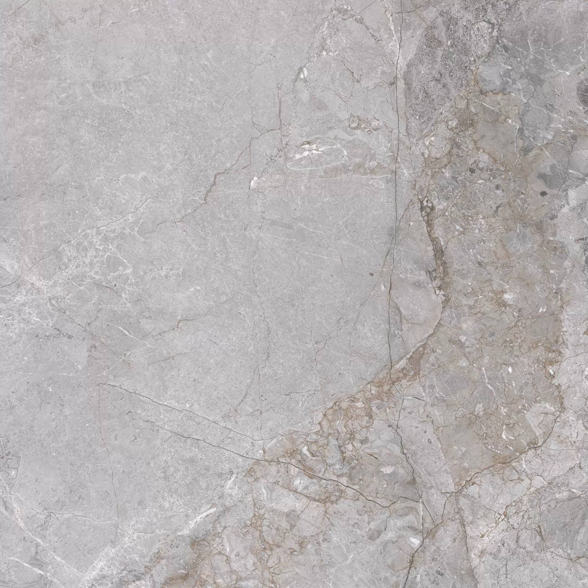 Керамогранит Pieza Ceramica Fior Di Bosco FI006060N Grey 60x60