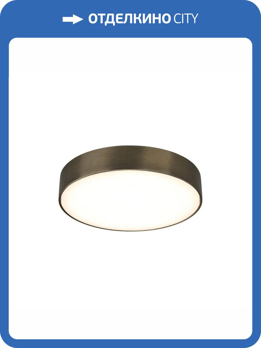 Потолочный светодиодный светильник Aployt Evon APL.0114.29.24 фото 2