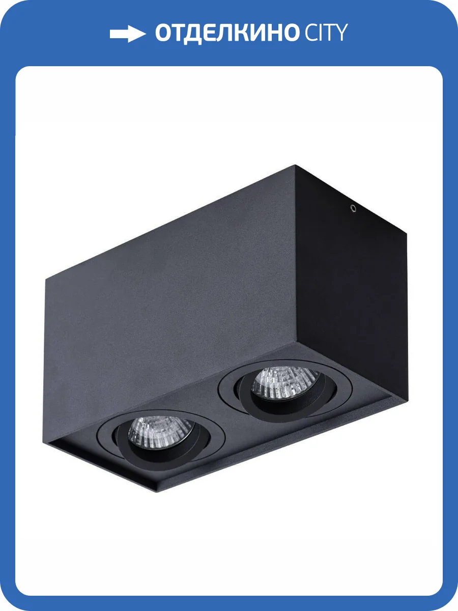 Потолочный светильник Arte Lamp Factor A5544PL-2BK фото 4