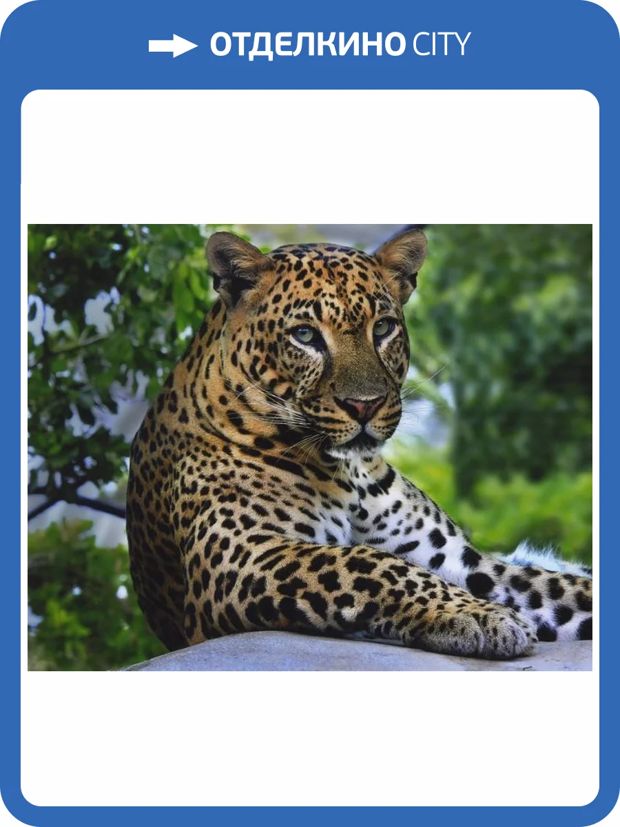 3D Фотообои Artegrafico «Отдыхающий леопард» WILD-019 акварель фото 2