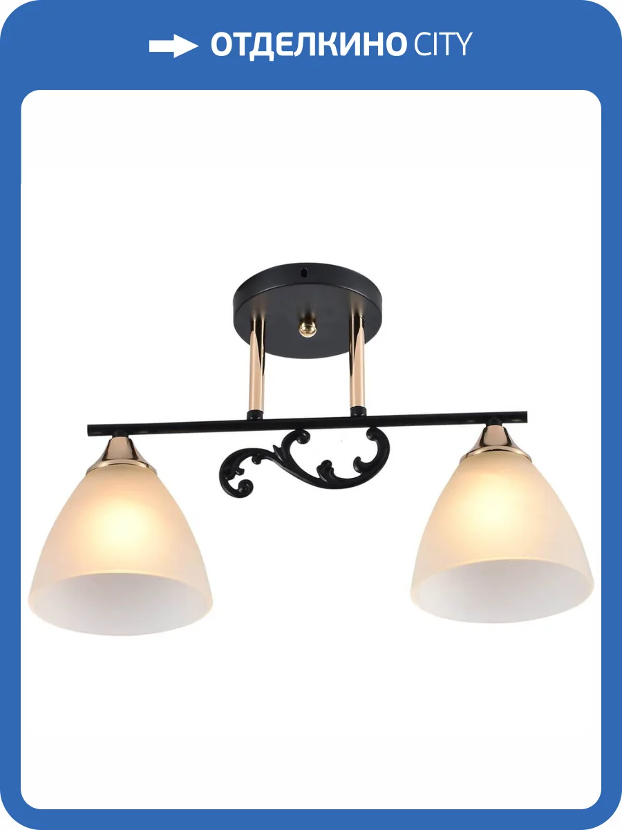 Потолочный светильник Reluce 01278-0.3-02B BK+FGD фото 5