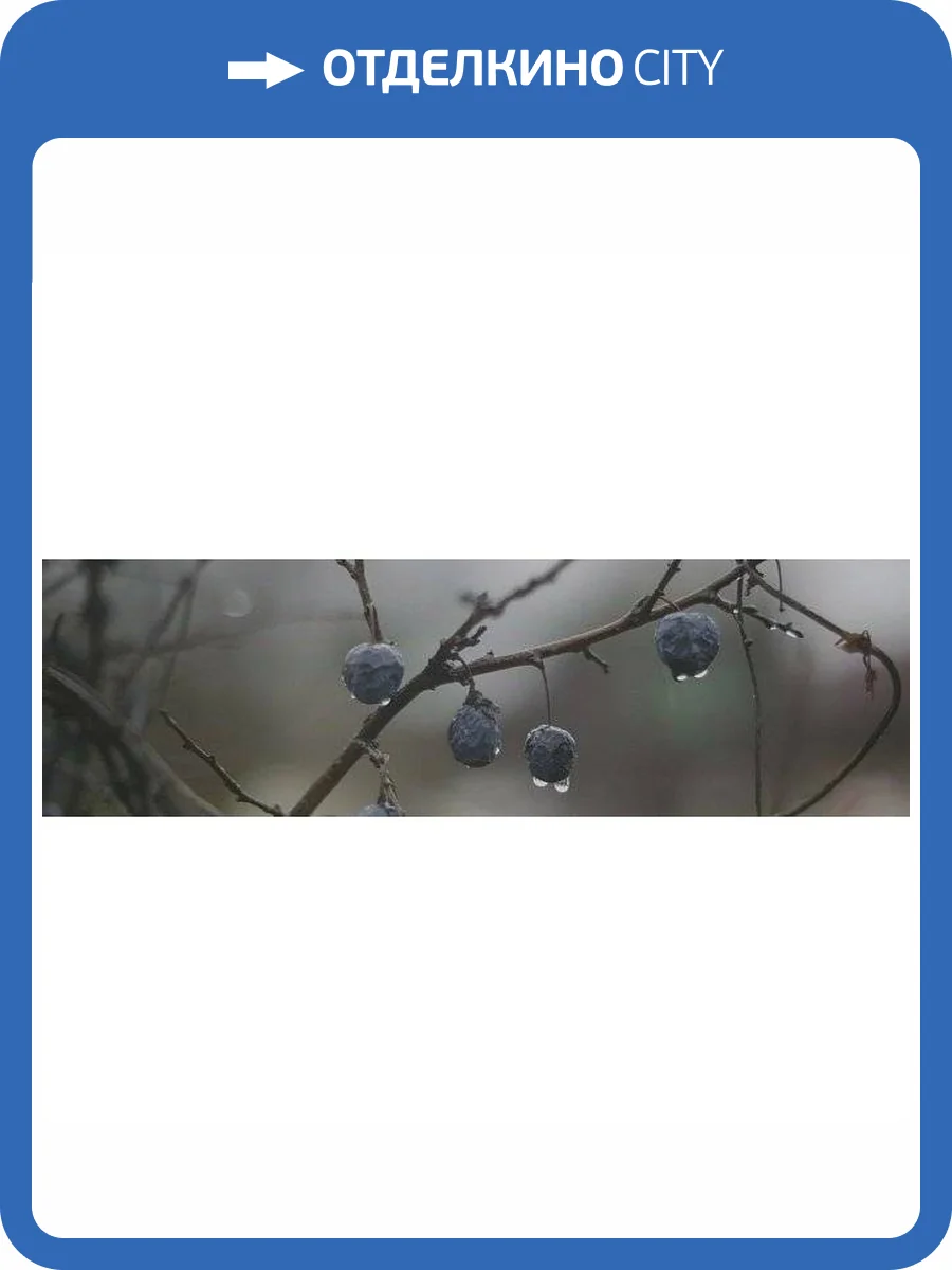 Декор Kerama Marazzi Тракай OS\A120\9016 8 Глянцевый 8.5x28.5 фото 2