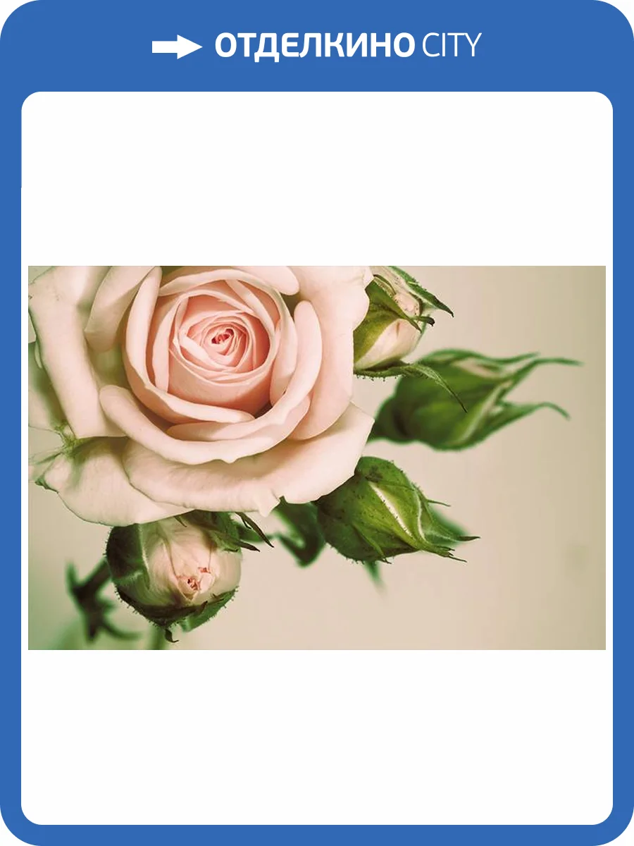 3D Фотообои Artegrafico «Роза» R838-1 песок фото 2