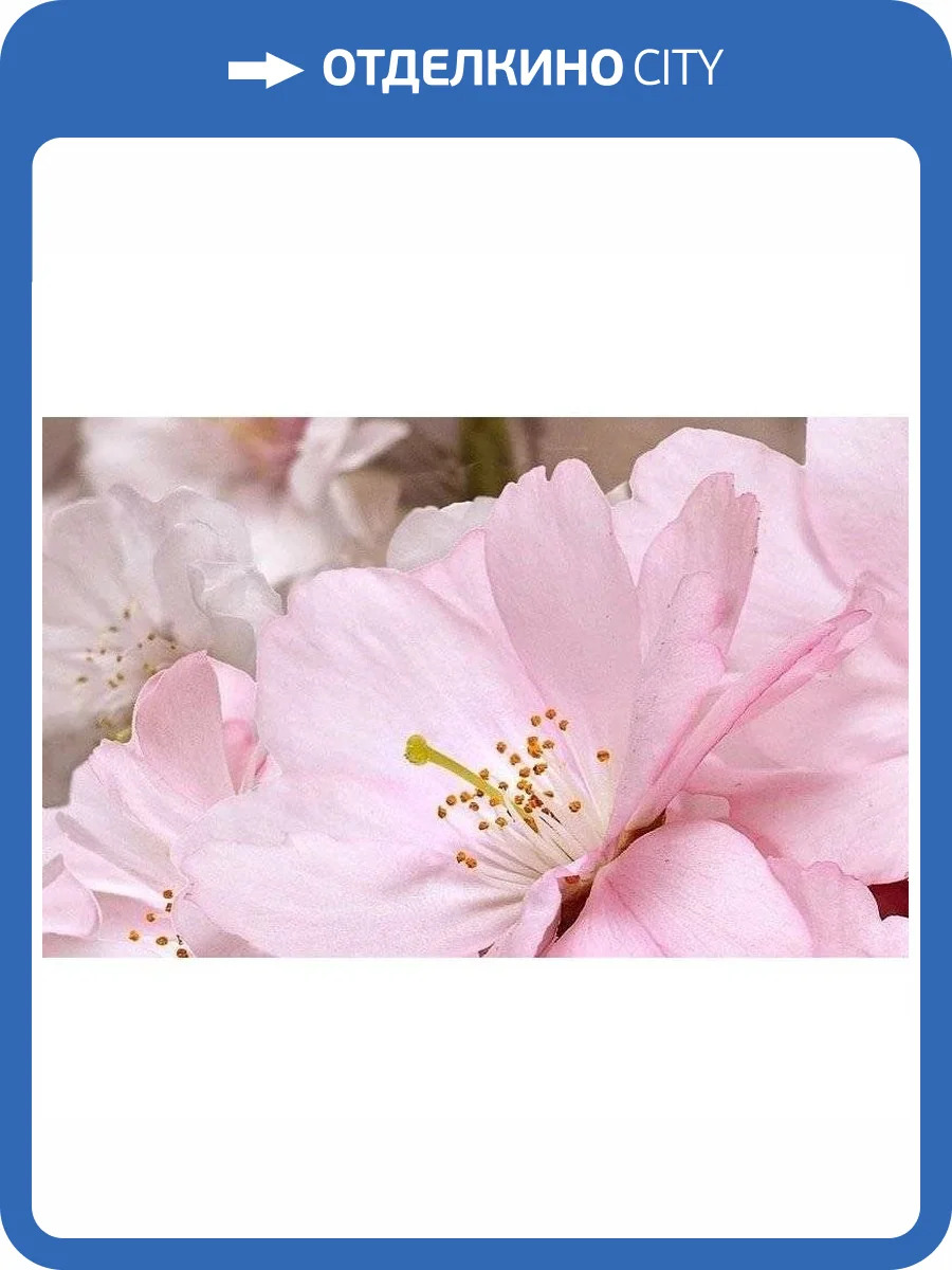 Декор Belleza Букет 09-01-41-662 25x40 фото 2