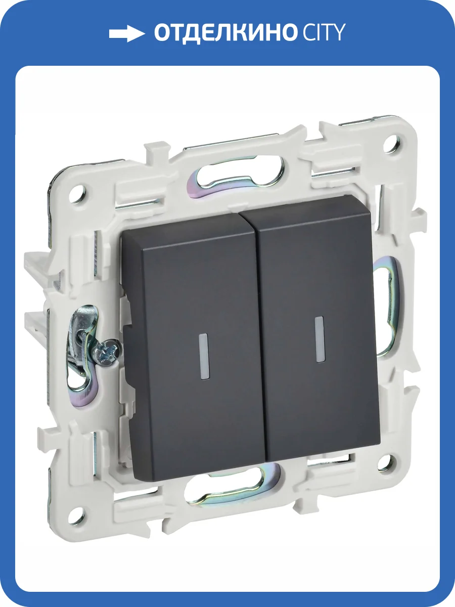 Выключатель 2-клавишный IEK Skandy SK-V20-1-10-K48 титан фото 6